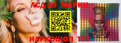 крисы Гудермес