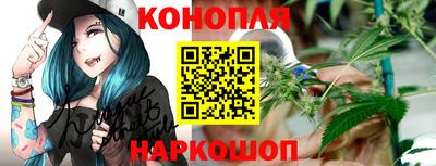 крисы Гудермес