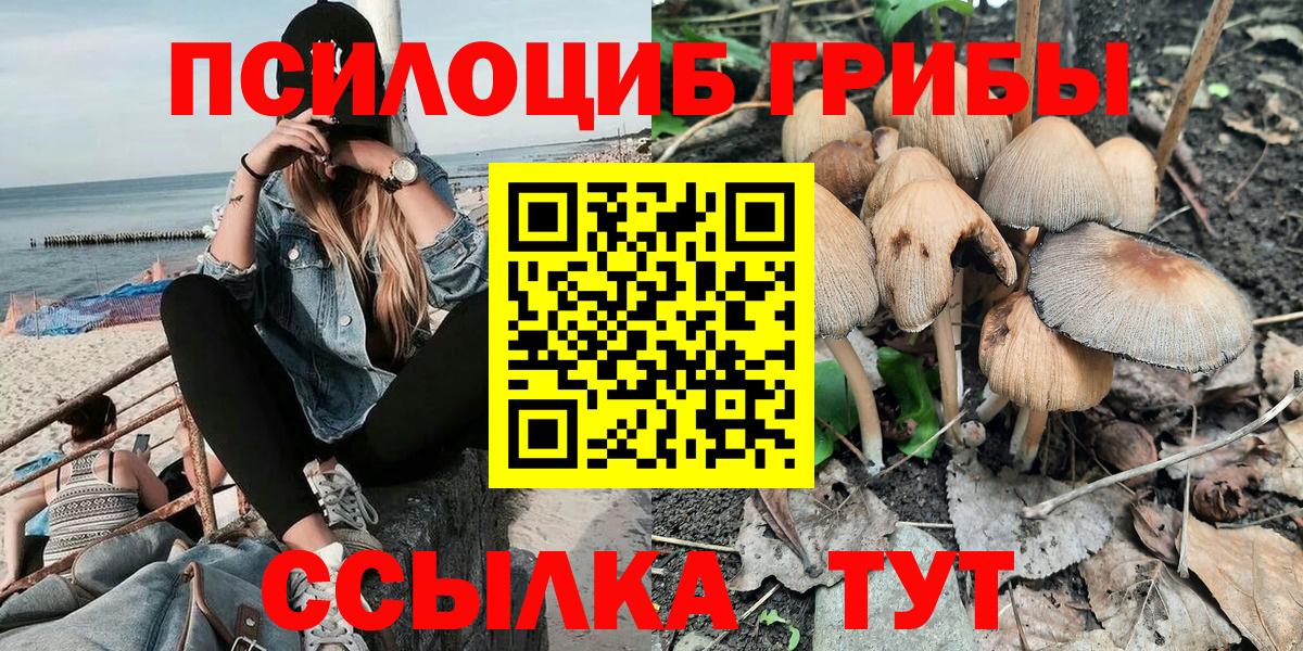 Артёмовский  Галлюциногенные грибы мухоморы  Вход с VPN 