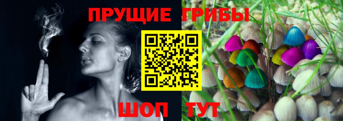 Псилоцибиновые грибы прущие грибы Артёмовский